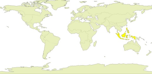 /31Malaysia & Indonesia.jpg